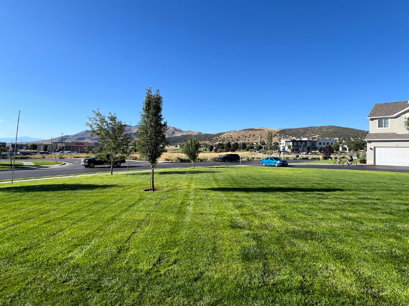 Lawn Care in Utah | Bee Garden Landscape