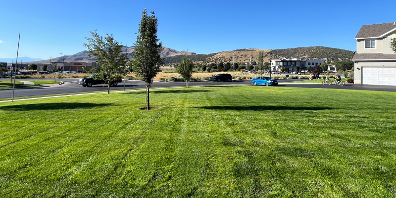 Landscape Company in Cedar Hills Utah | Bee Garden Landscape