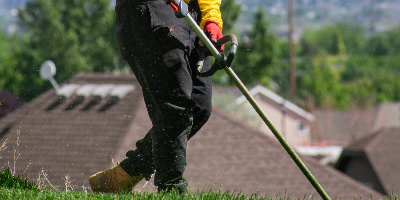 Garden Improvements in Provo Utah | Bee Garden Landscape