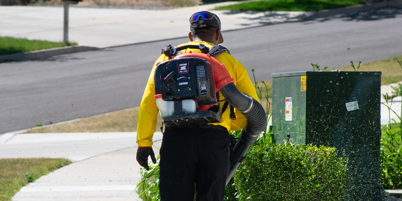 Commercial Landscaping in Eagle Mountain Utah | Bee Garden