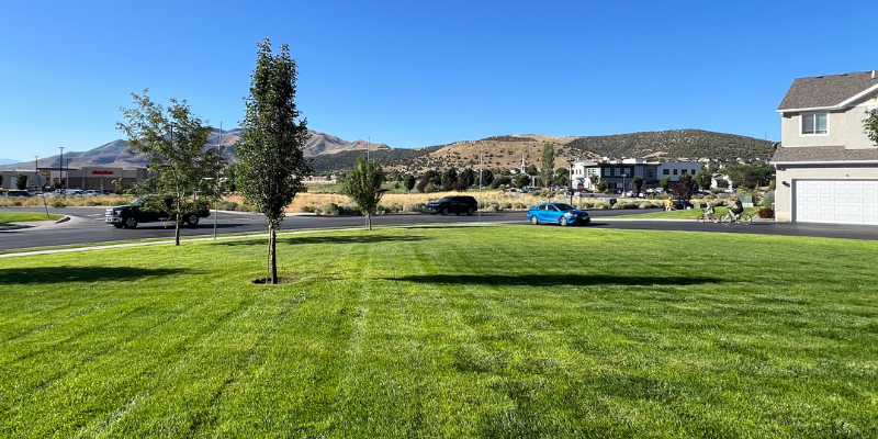 Landscaping Company in Provo Utah | Bee Garden