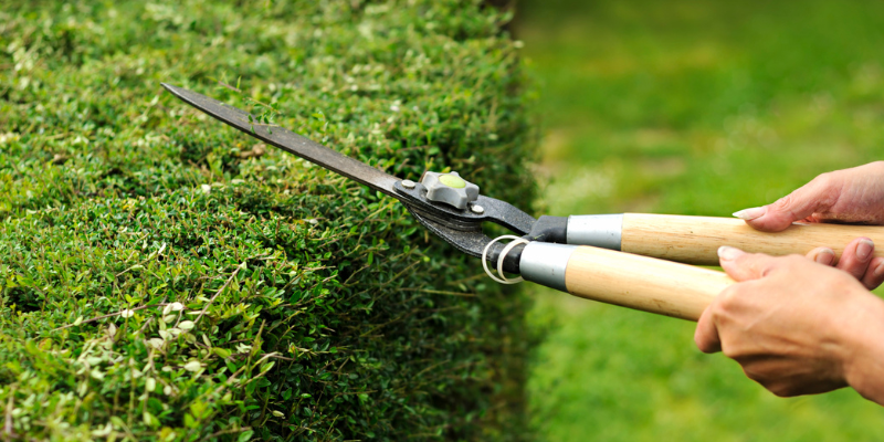 Landscape Company in Sandy, Utah | Bee Garden Landscape