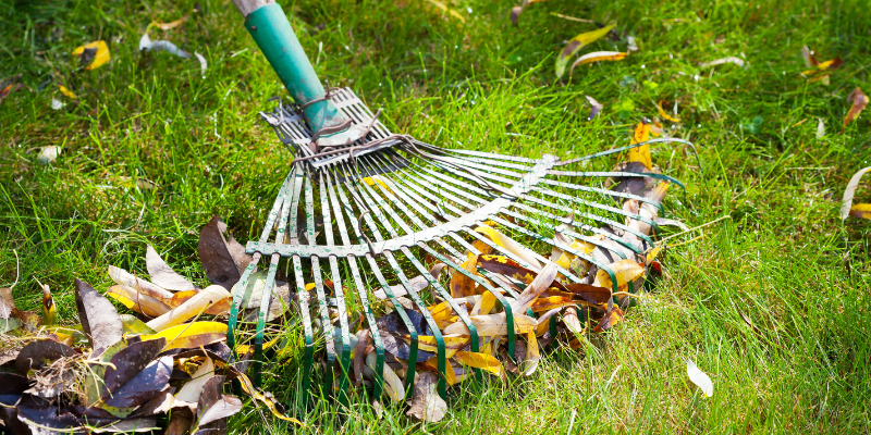 Landscape Company in West Jordan Utah | Bee Garden Landscape