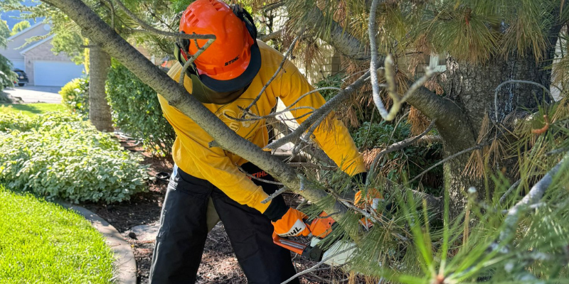 Landscaping Company in Cottonwood Heights Utah | Bee Garden