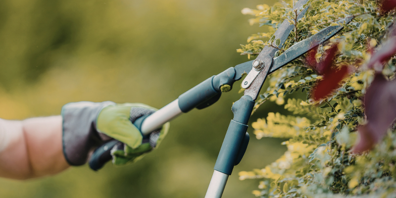 Landscape Company in Draper Utah | Bee Garden