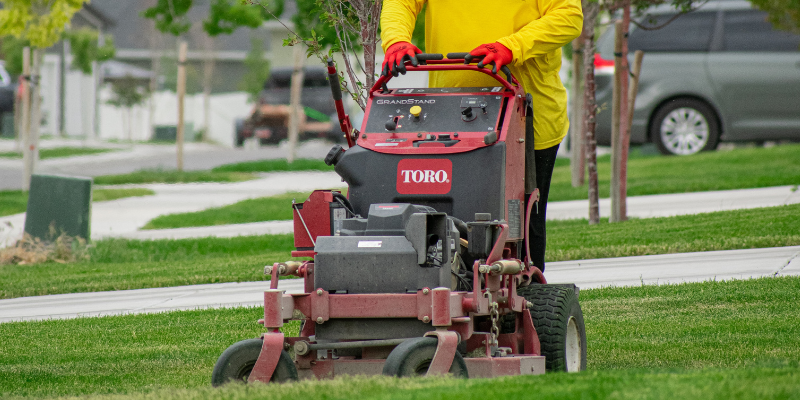 Landscaping Companies Near me in Draper | Bee Garden Landscape